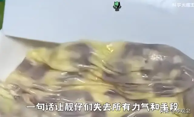 网红食堂黑暗料理是什么,_水泥麻辣烫咖啡米线_网红小吃黑暗料理